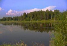 Рыбалка на реках и озерах европейской России