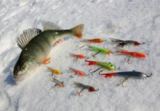 Ловля рыбы на балансир. Способы и техника зимней рыбалки