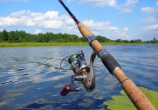 Рекомендации и советы: как освоить рыбалку для новичкам