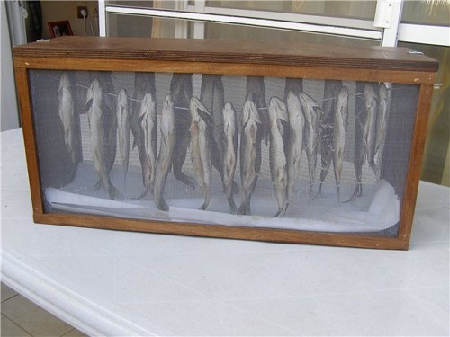 Самодельное приспособление для приготовления солено-сушеной рыбы