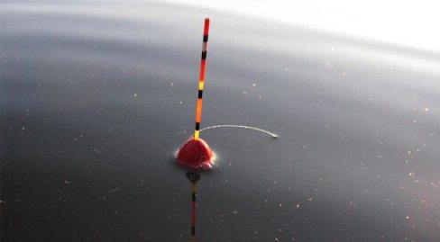 Поплавок для рыбалки в спокойной воде