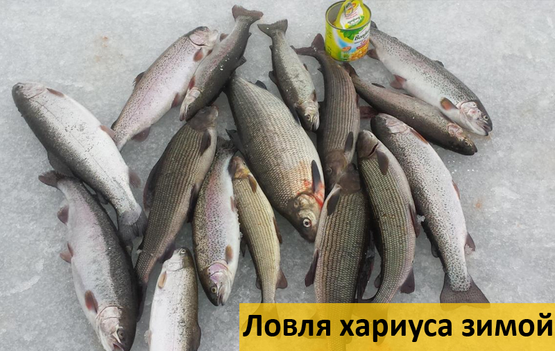 Рыбалка снасти кораблик своими руками Рыбалка снасти кораблик своими руками