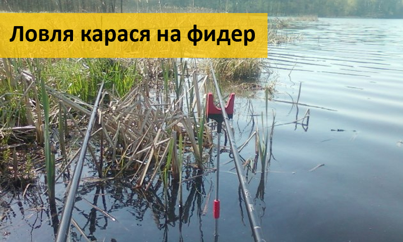 геркулес для прикормки рыбы геркулес для прикормки рыбы