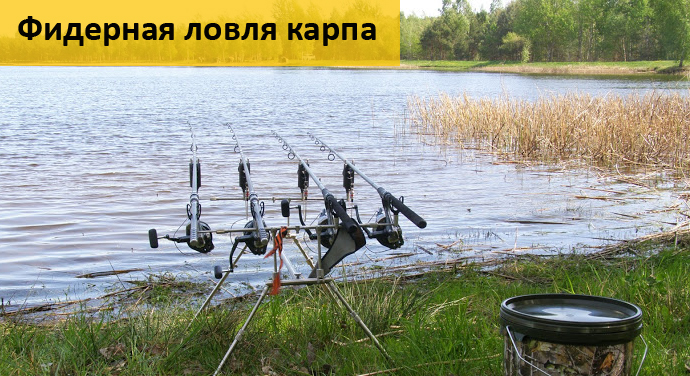 выбор катушки для ловли карпа выбор катушки для ловли карпа