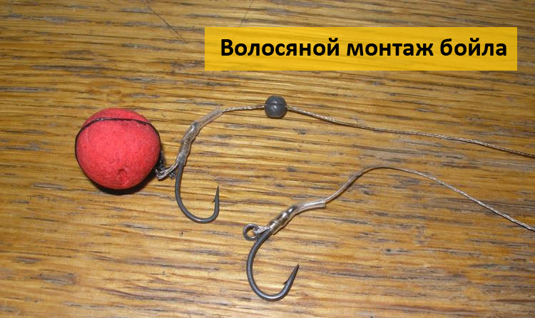 рыбалка ловля на бойлы ловля карпа рыбалка ловля на бойлы ловля карпа
