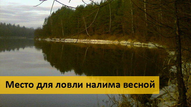 когда ловить налима осенью видео когда ловить налима осенью видео