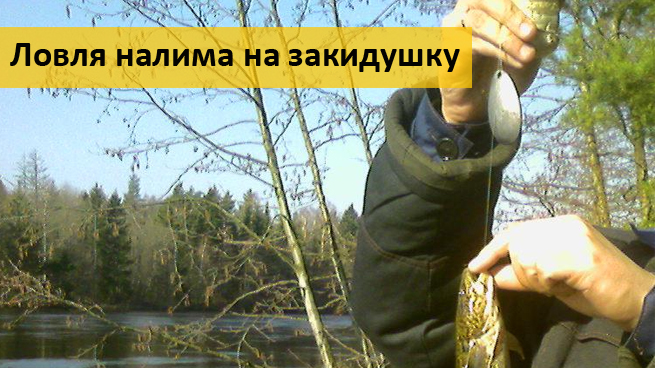 ловля закидушками ловля закидушками
