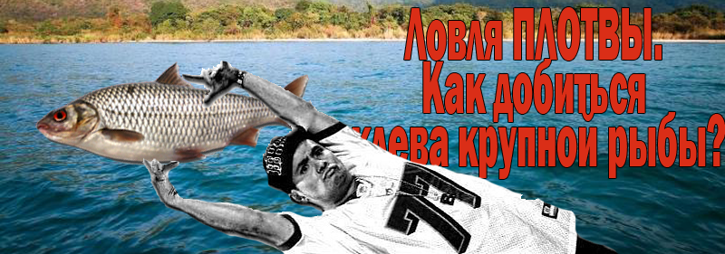 Как самому сделать коврик для компьютерной мыши Идеи для дома, подарков и безделушек своими руками