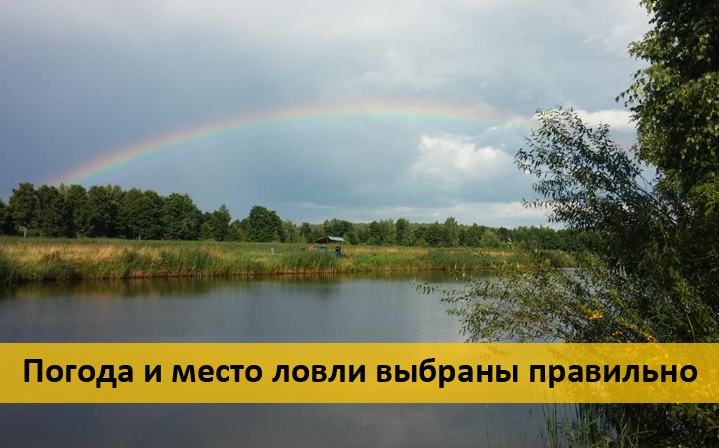 ловля толстолобика весной на пруду ловля толстолобика весной на пруду
