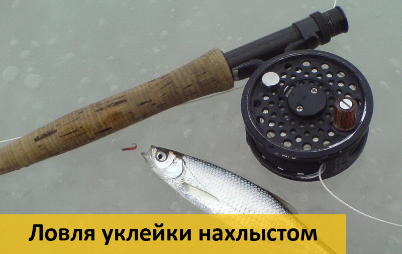 как собирается нахлыстовая снасть как собирается нахлыстовая снасть