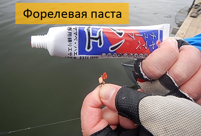 Как сделать пасту для ловли форели своими руками