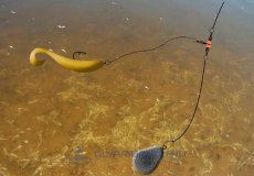 Отводной поводок  — ловля на него окуня и других рыб