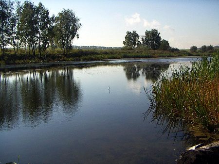 Типичная река для европейской части России