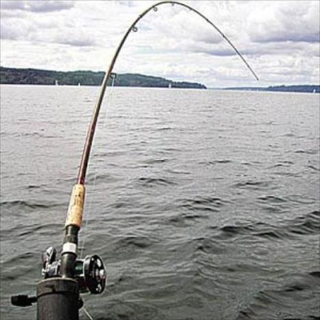 Рыбная ловля на спиннинг