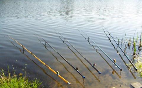 Легкие удилища для поплавочной удочки с кольцами - рыболовная атрибутика для эффективной рыбалки