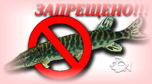 Запрет на рыбалку в конкретном месте